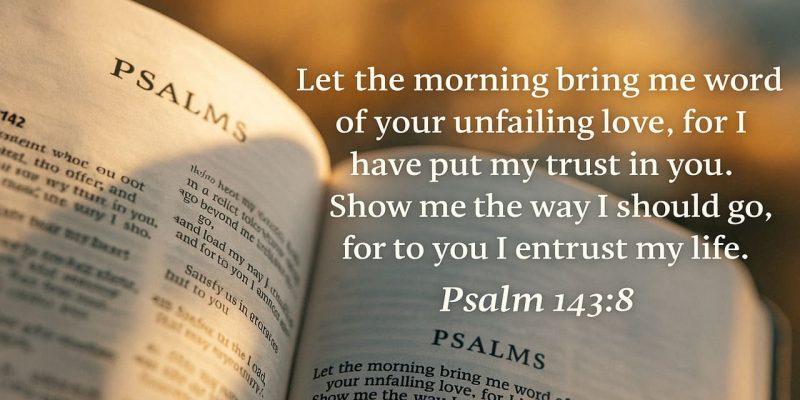 Daily Encouragement from the Psalms A Verse to Start Your Morning Right