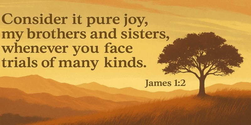 Joy in Trials Let This Bible Passage Remind You of God’s Presence in Every Season