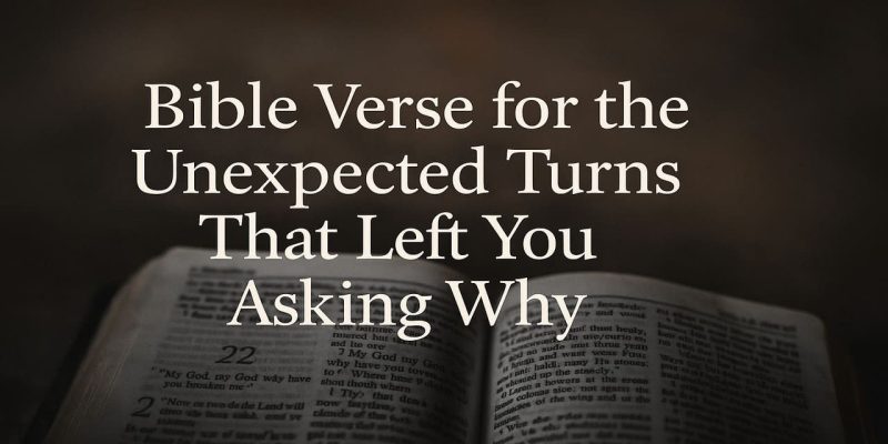 Bible Verse for the Unexpected Turns That Left You Asking Why