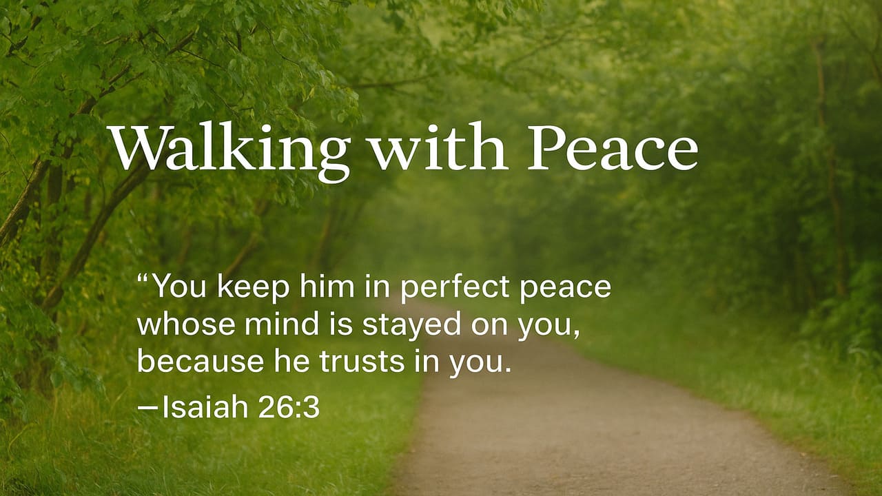 Walking with Peace A Daily Bible Verse to Quiet the Noise and Center Your Soul